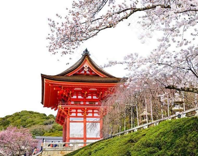 辽宁海外國(guó)际旅行社有(yǒu)限公(gōng)司